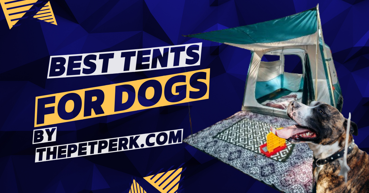 best tents for dogs