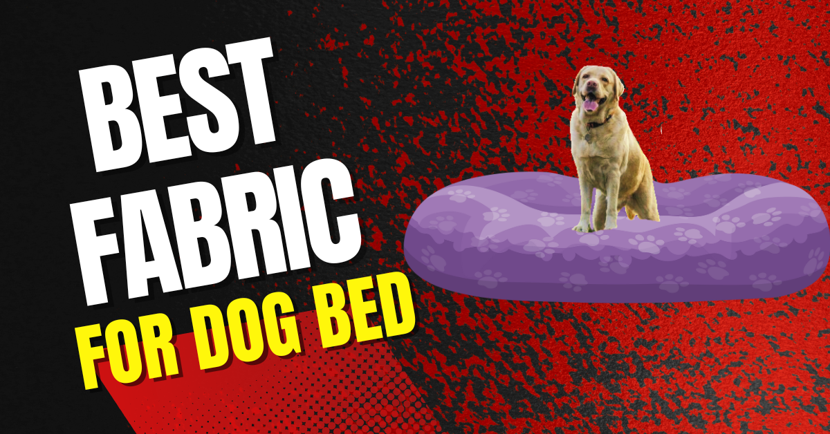 best fabric for dog bed