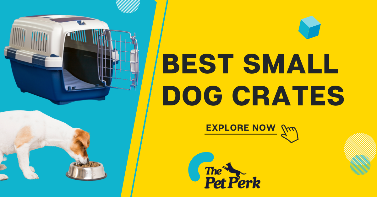 Best Small Dog Crates