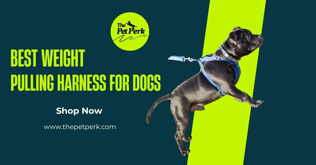 Best weight pulling harness for dogs