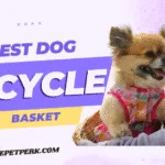 Best Dog Bicycle Basket