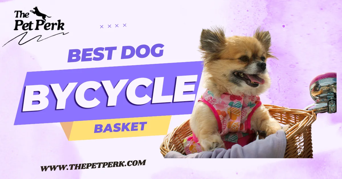 Best Dog Bicycle Basket