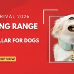 Best Long Range Shock Collar for Dogs